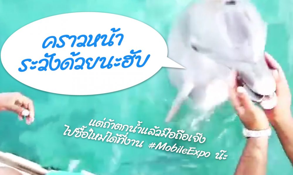 ‎dolphinencounter‬
