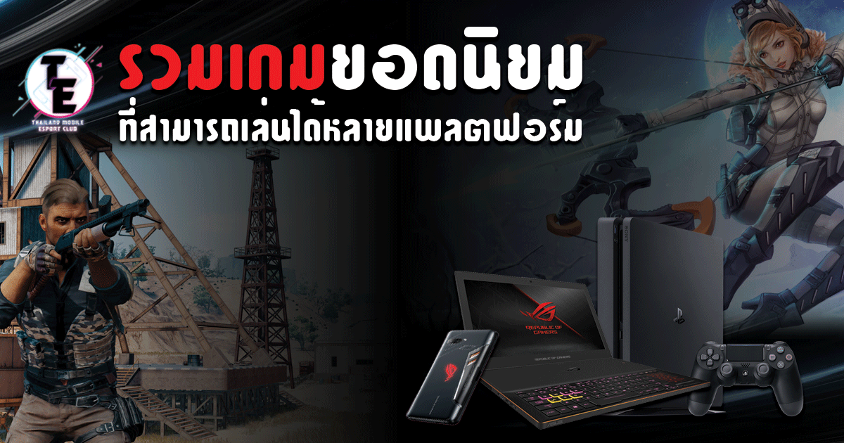 Platform รวมเกมยอดนิยม