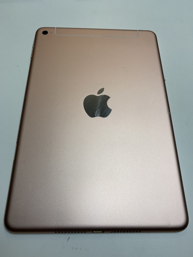 new iPad Mini 2019 leaks