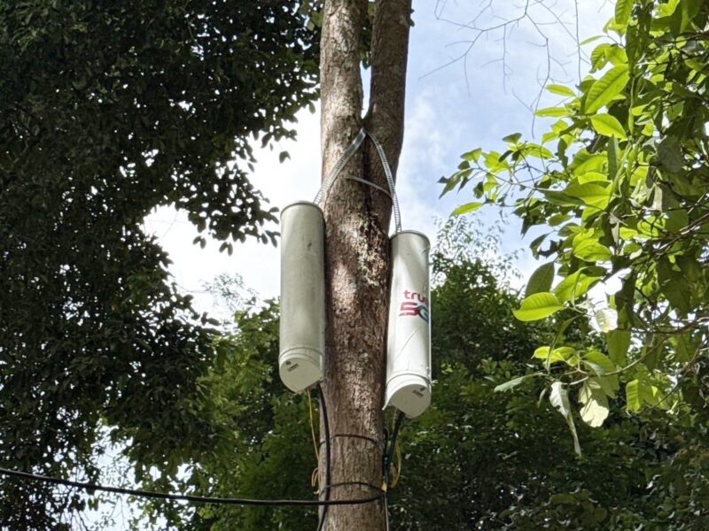 True Small Cell