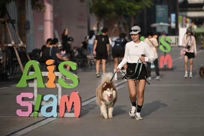 AIS SMART Pets Phone